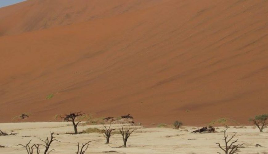 Country Highlight: NAMIBIA