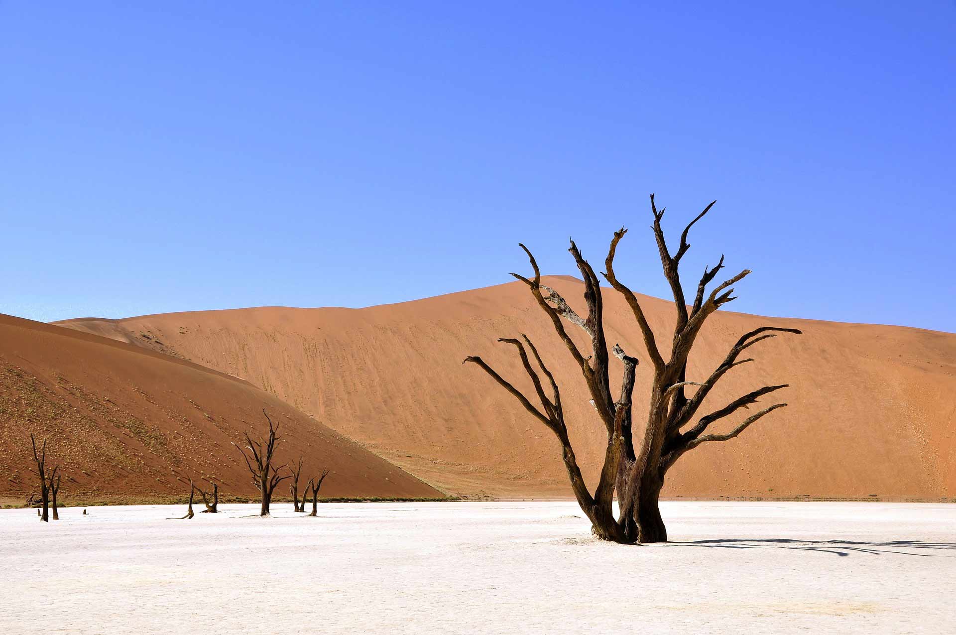 Photo of Deadvlei, Namibia